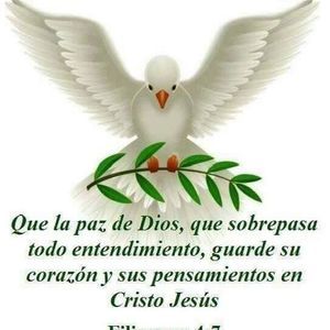 Meet your Posher, Olga